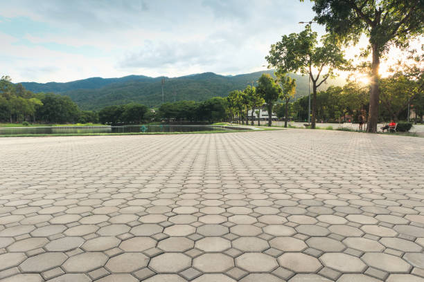 Best Custom Driveway Pavers  in East Griffin, GA